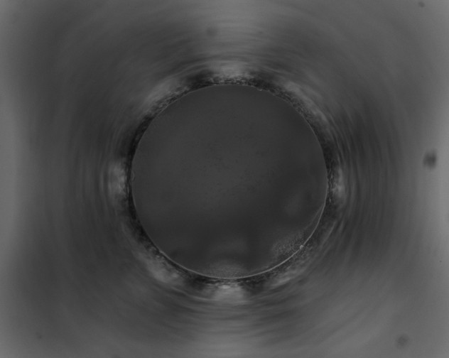 X0000102490715200808081329