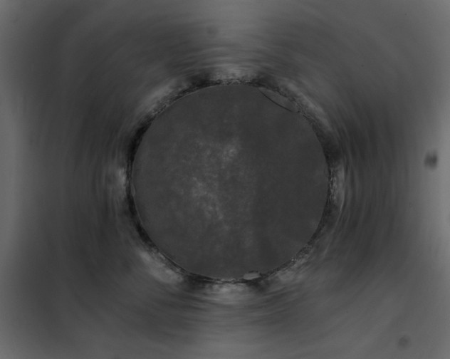 X0000102490716200808081328