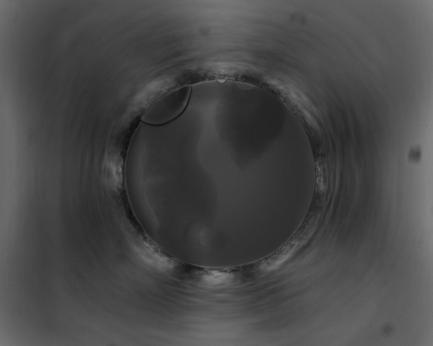 X0000102490718200808081328