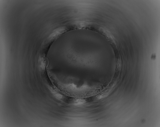 X0000102490719200808081328