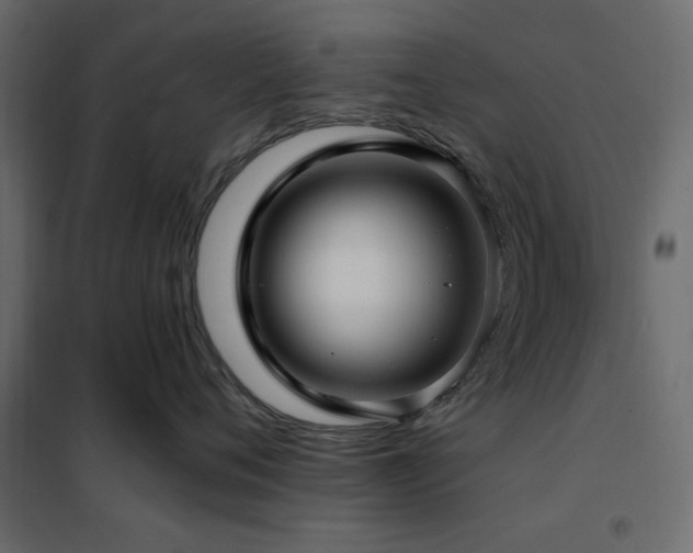 X0000102490720200808081328