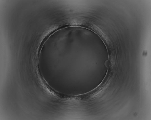 X0000102490721200808081328