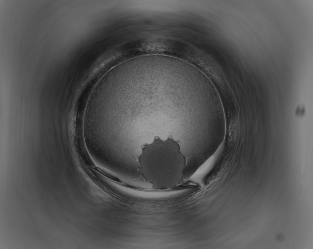 X0000102490722200808081328