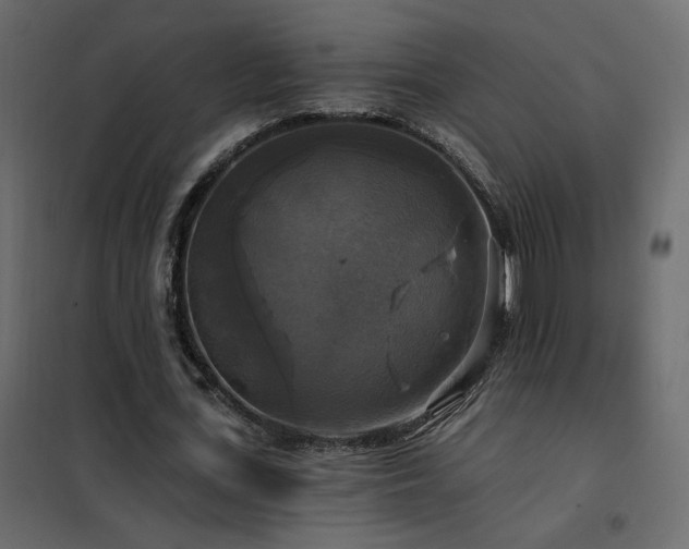 X0000102490723200808081328