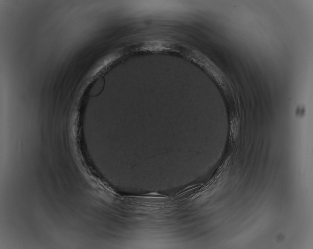X0000102490724200808081328