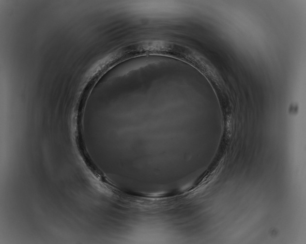 X0000102490725200808081328