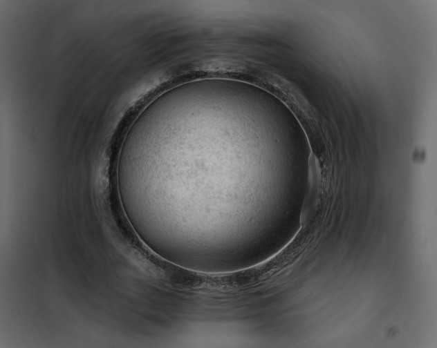 X0000102490727200808081328