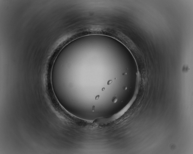 X0000102490728200808081328