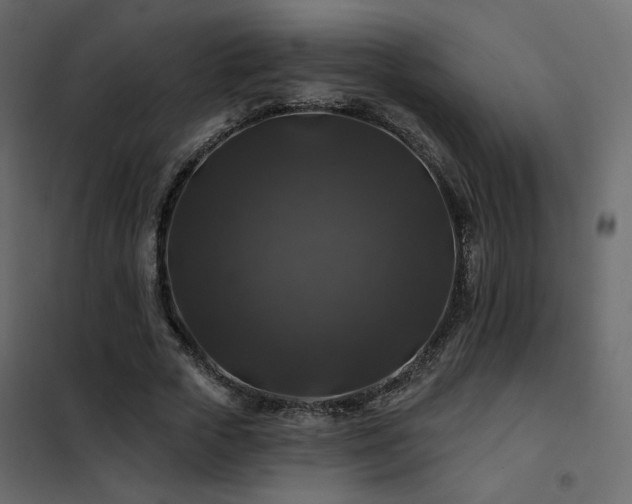 X0000102490729200808081328