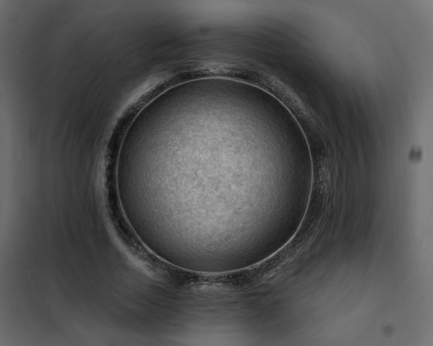 X0000102490730200808081328