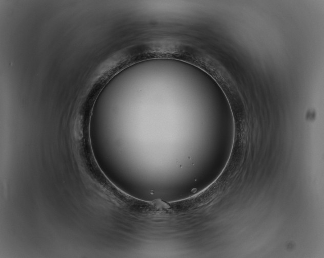 X0000102490731200808081328