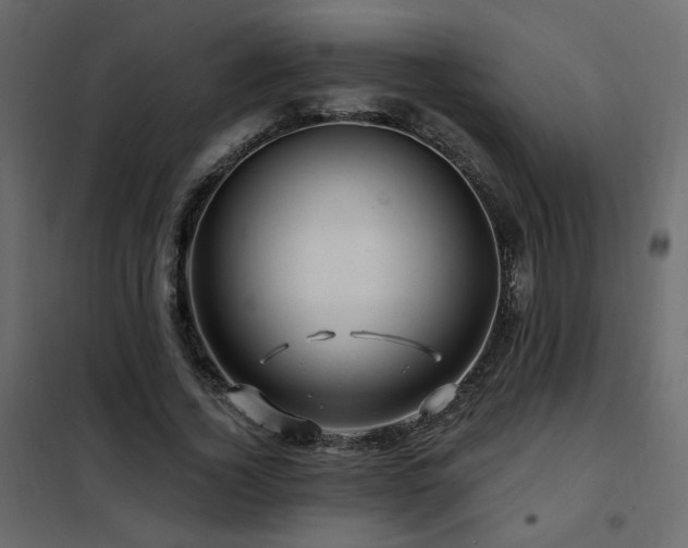 X0000102490732200808081328