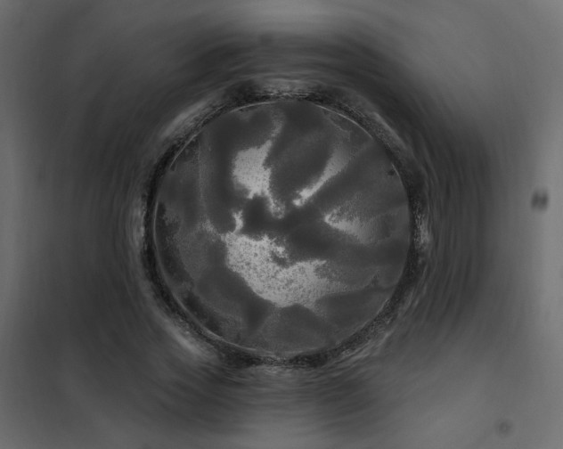 X0000102490733200808081328