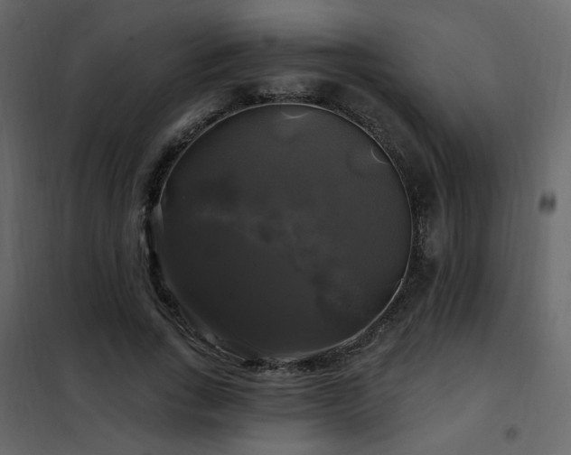 X0000102490735200808081328