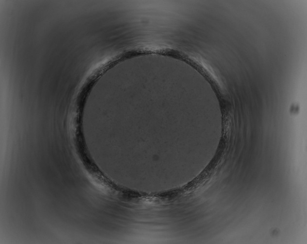 X0000102490736200808081328