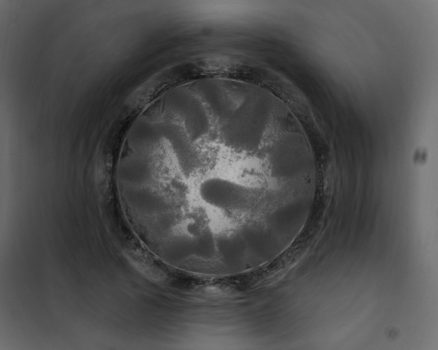 X0000102490737200808081328