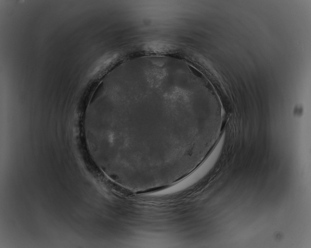X0000102490738200808081328