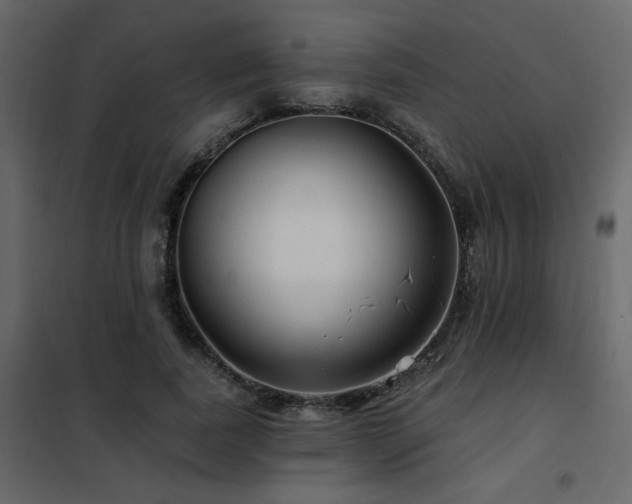 X0000102490739200808081328