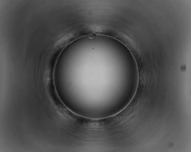 X0000102490740200808081328