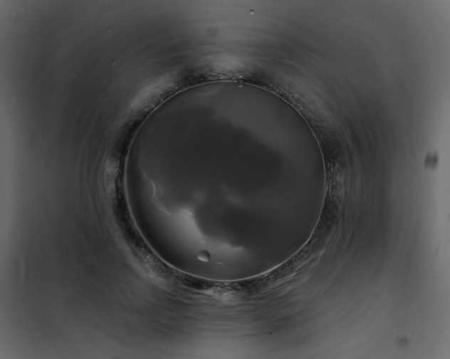 X0000102490742200808081328