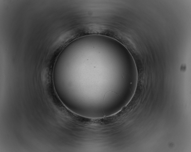 X0000102490743200808081328