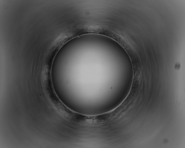 X0000102490744200808081328