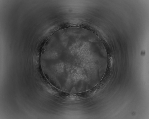 X0000102490745200808081328