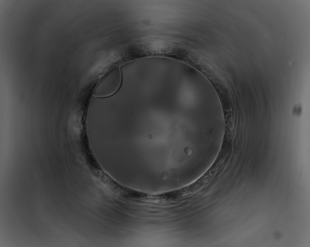 X0000102490746200808081328