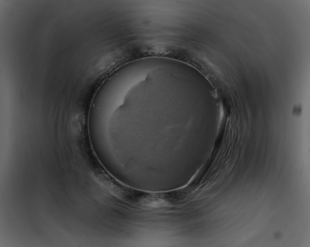 X0000102490747200808081328