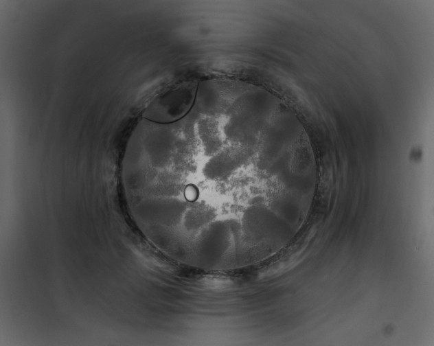 X0000102490749200808081328