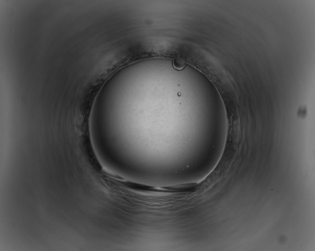 X0000102490750200808081328