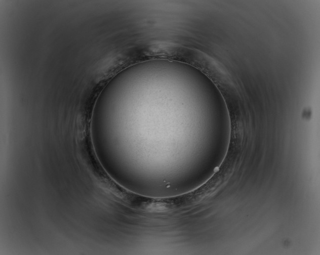 X0000102490751200808081328