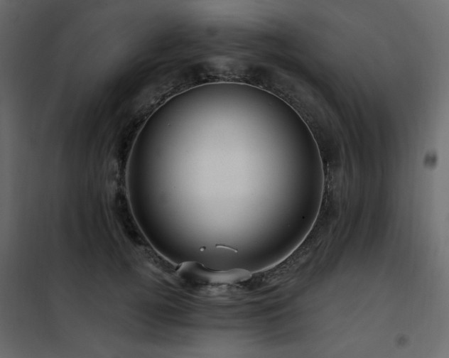 X0000102490752200808081328