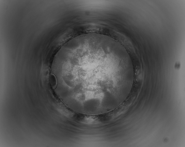 X0000102490753200808081328