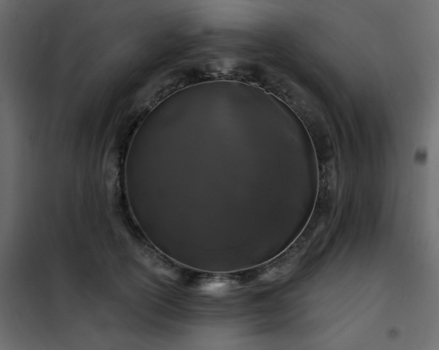 X0000102490754200808081328