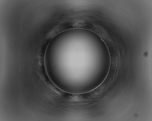 X0000102490755200808081328