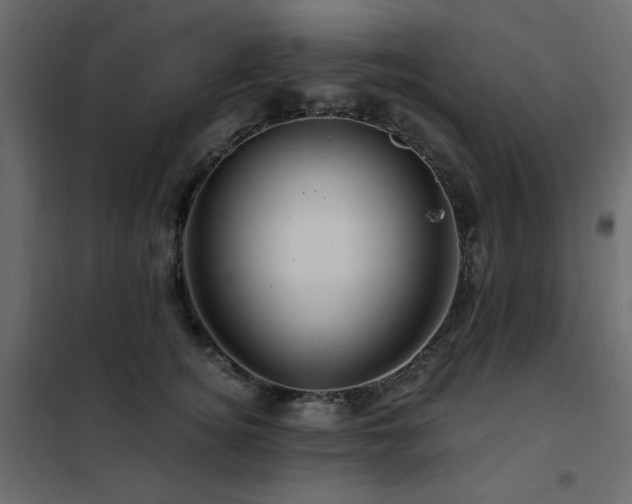 X0000102490756200808081328