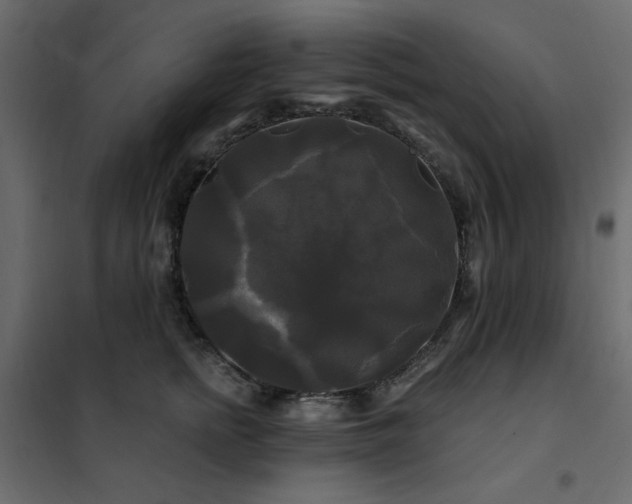 X0000102490758200808081328