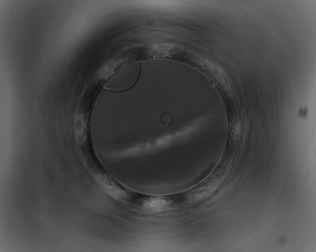 X0000102490759200808081328