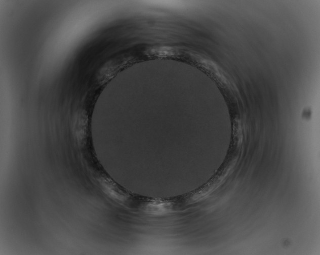 X0000102490760200808081328