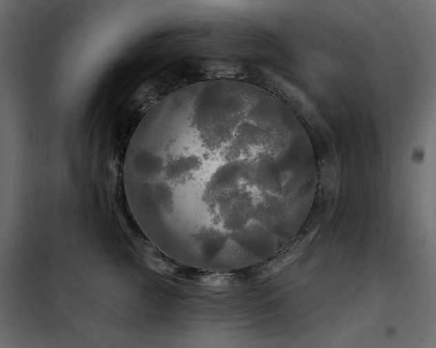 X0000102490761200808081328