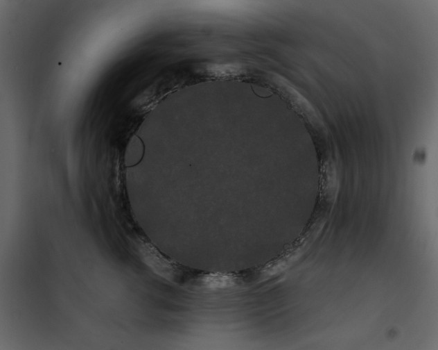 X0000102490762200808081328