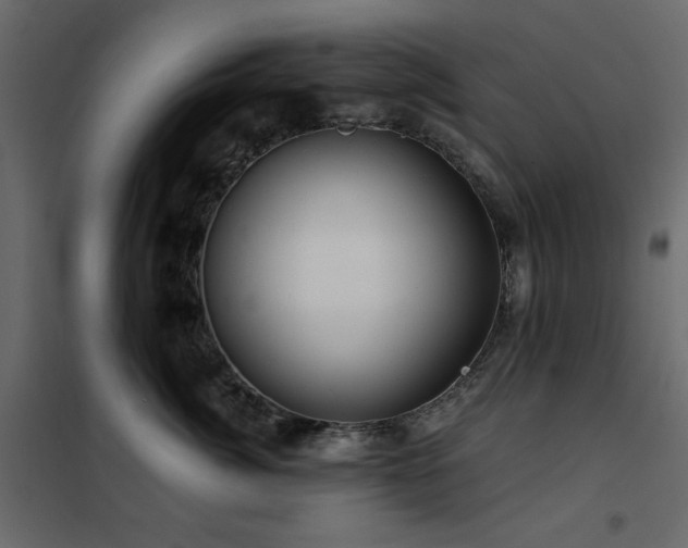 X0000102490764200808081328