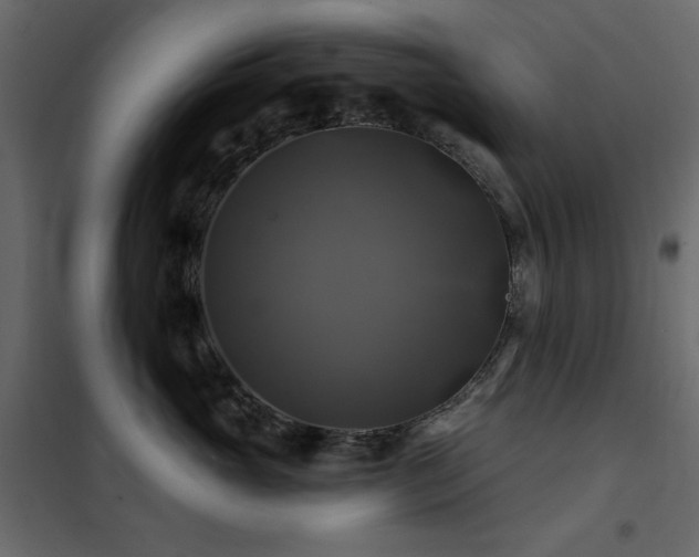 X0000102490765200808081328