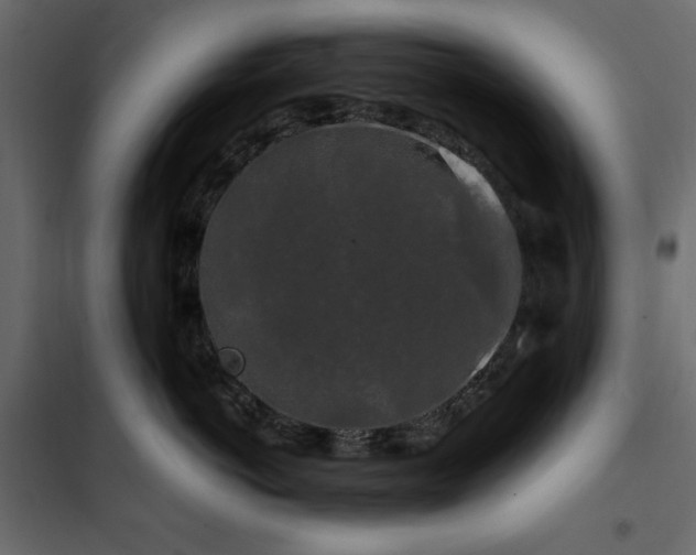 X0000102490766200808081328