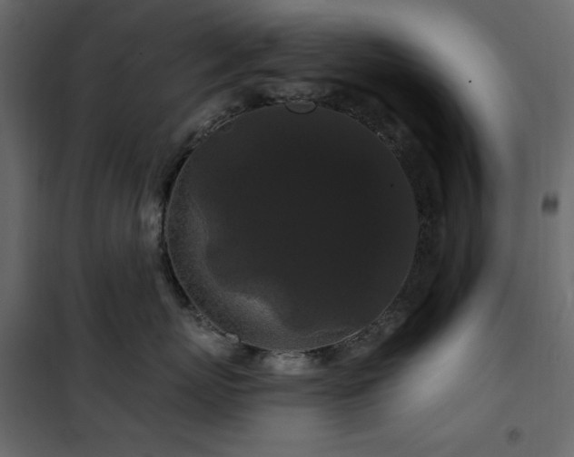 X0000102490767200808081328