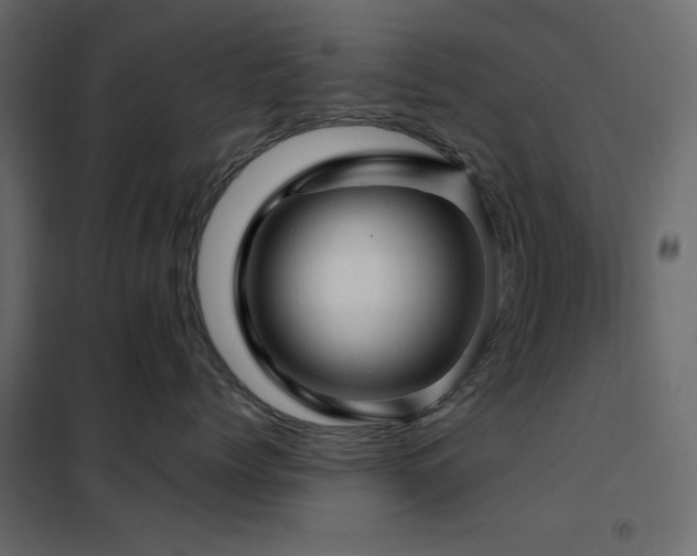 X0000102490768200808081328