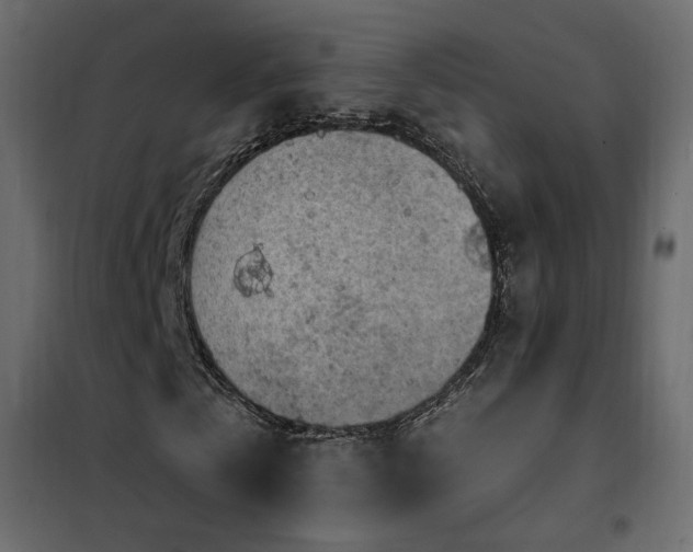 X0000102490769200808081328