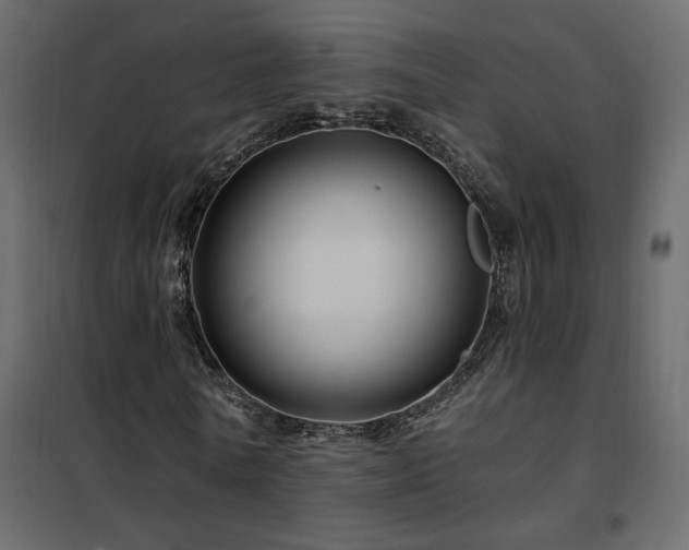 X0000102490770200808081328