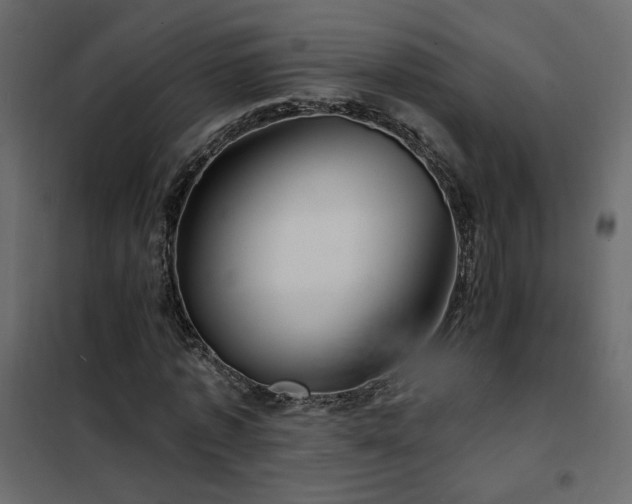 X0000102490773200808081328